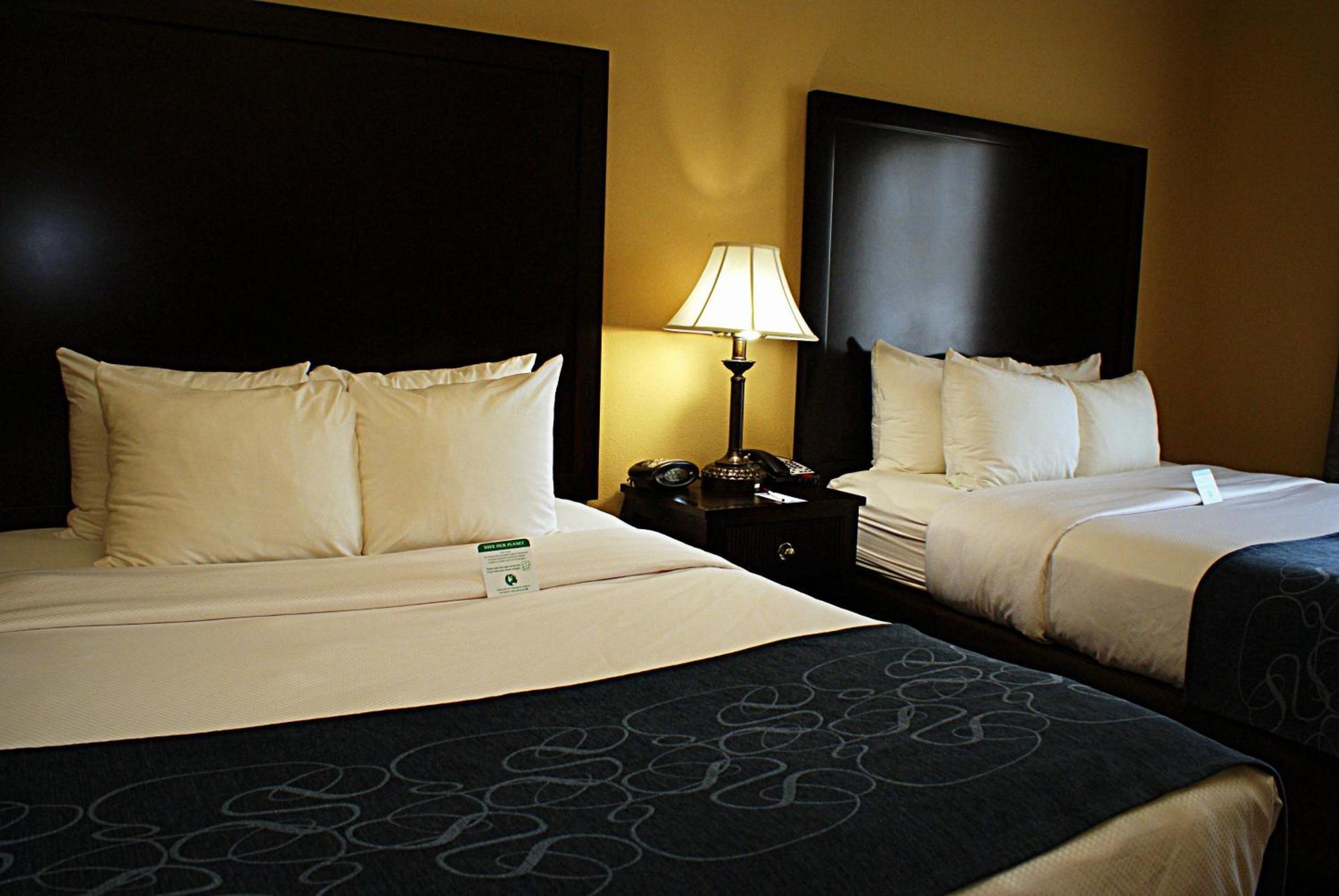 Comfort Suites Frisco Værelse billede
